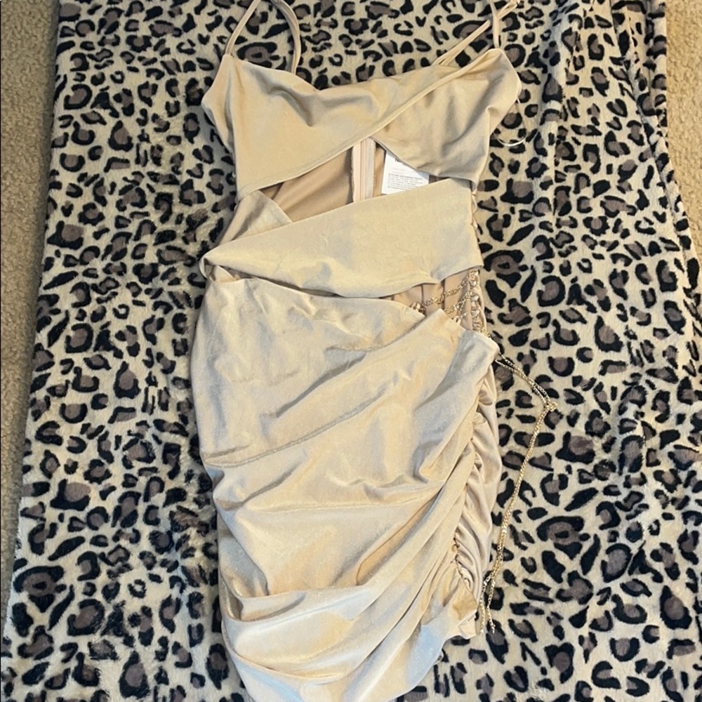 Gold/nude dress